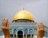الصورة الرمزية جوهرة القدس