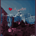 الصورة الرمزية نسمة الأقصى
