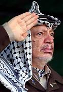 الصورة الرمزية 151