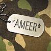 الصورة الرمزية *ameer*